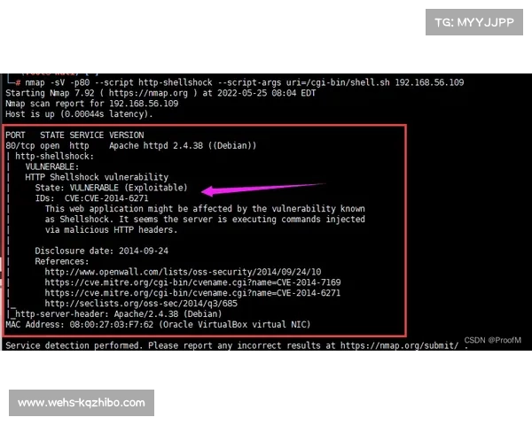 体育数据平台Starlizard分析防守漏洞，科技成胜负变量